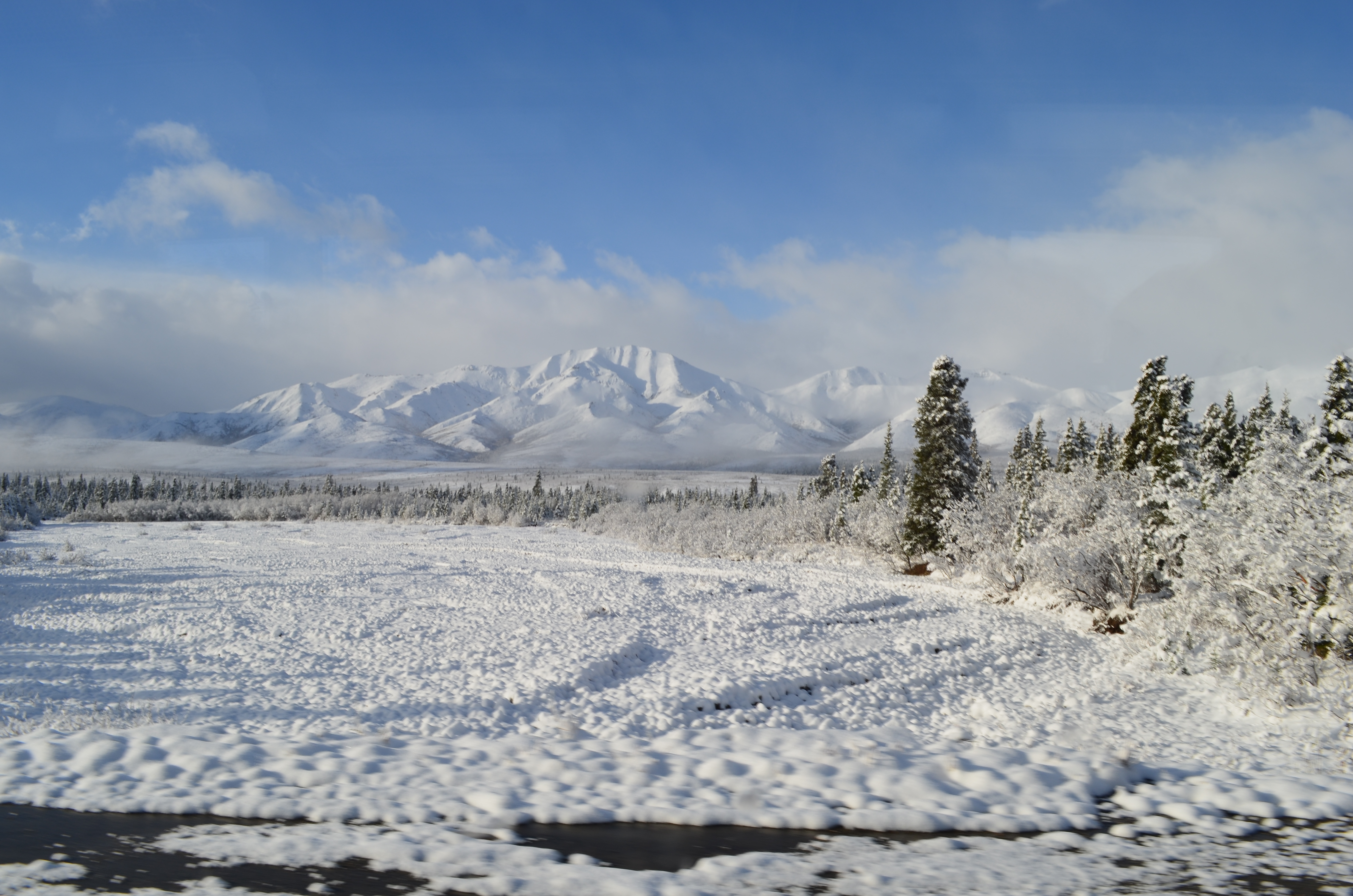 ./2017/08 - Alaska Cruise/03 - Denali/DSC_0213.JPG